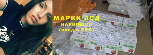 винт Ельня