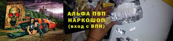 винт Ельня