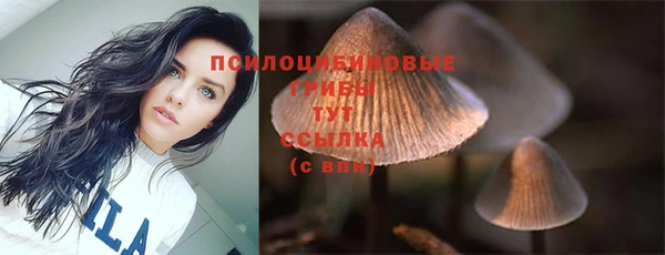 прущие крисы Елабуга