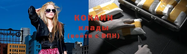винт Ельня