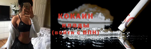 винт Ельня