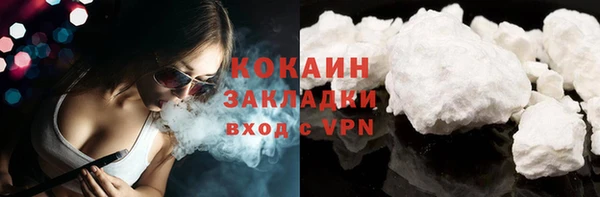 винт Ельня