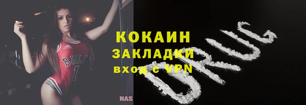 винт Ельня