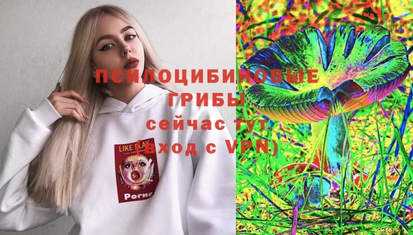 МДПВ Елизово