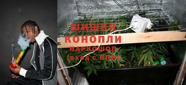 МДПВ Елизово