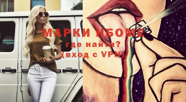 винт Ельня