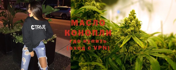 винт Ельня