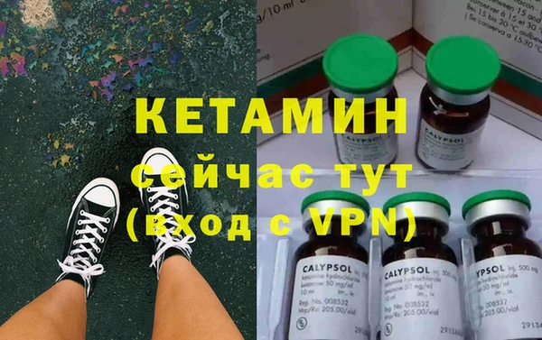 винт Ельня